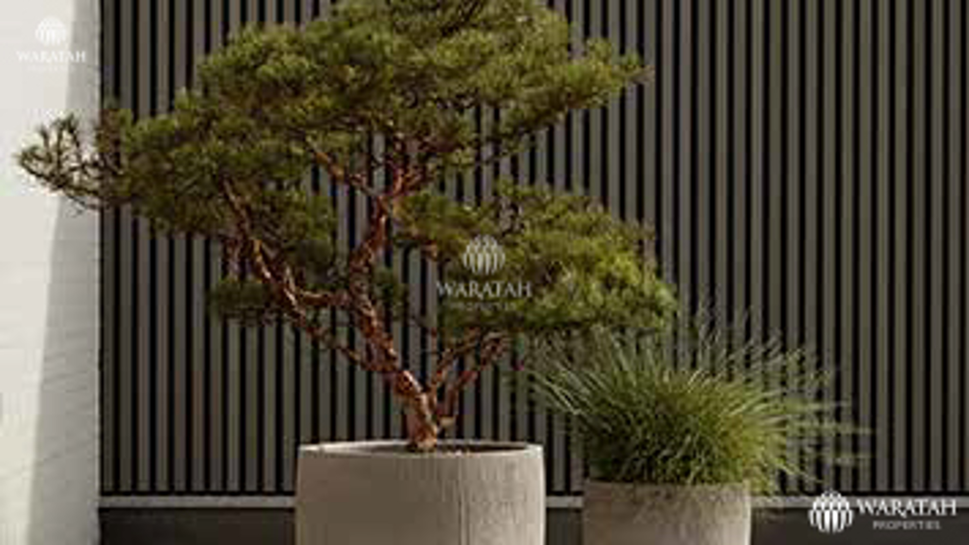 Villa Magnolia WP 0008 3